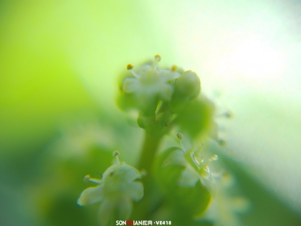 愚人节整蛊不糊片：松典相机轻松搞定 