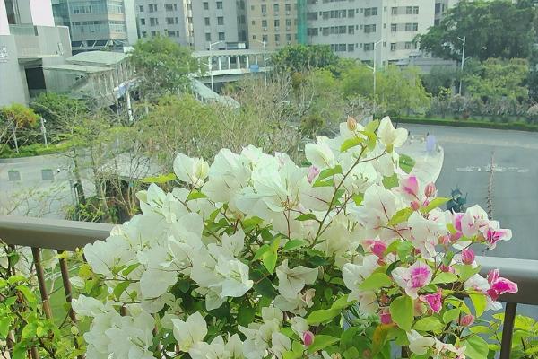 愚人节整蛊不糊片：松典相机轻松搞定 