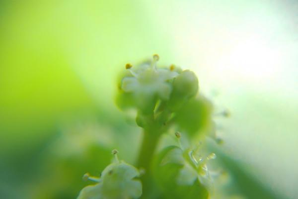 愚人节整蛊不糊片：松典相机轻松搞定 