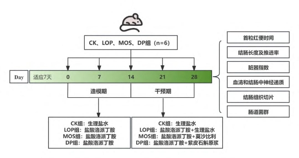 品斛堂紫皮石斛原浆获智鱼优检＋科研实证双背书 