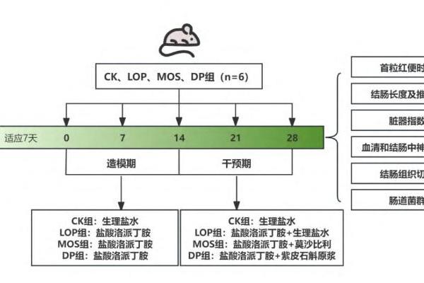品斛堂紫皮石斛原浆获智鱼优检＋科研实证双背书 