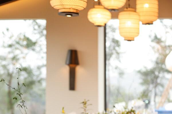 安岚发起"祝你一夜好眠"倡议，用好眠重启身体能量场 