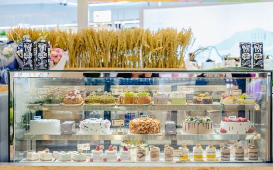 OATY携冠军咖啡师亮相HOTELEX，解锁植物基餐饮创新可能