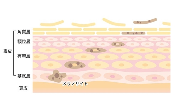 换季皮肤状态差？试试hfp果酸精粹水湿敷大法！ 