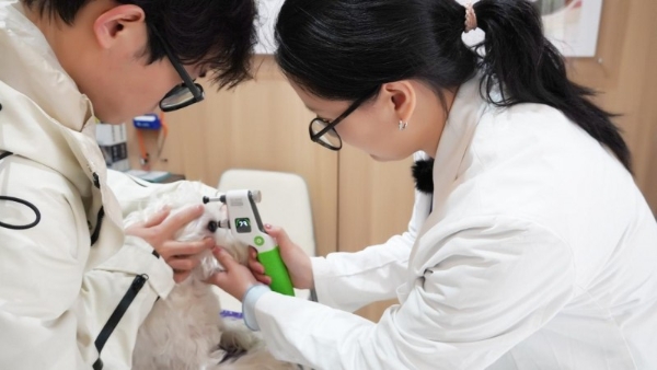 马踏春风 为爱启航 | 瑞派宠物医院（南部新城旗舰店）盛大开业！打造宠物医疗新标杆！ 