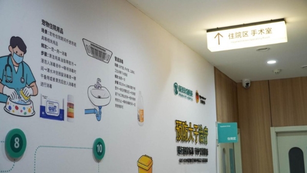 马踏春风 为爱启航 | 瑞派宠物医院（南部新城旗舰店）盛大开业！打造宠物医疗新标杆！ 