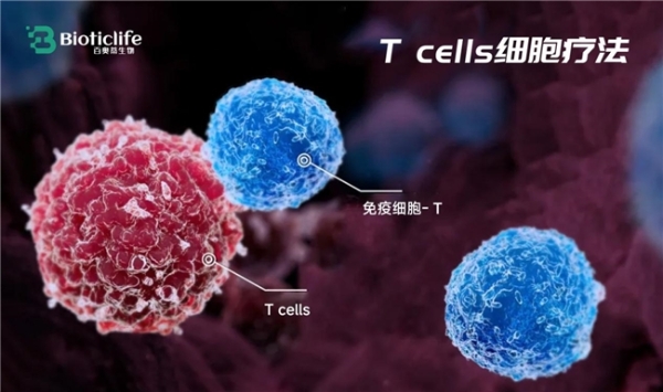百奥蒂（BIOTICLIFE）启动BOTE206首次人体临床研究，探索T细胞疗法治疗实体瘤新路径 
