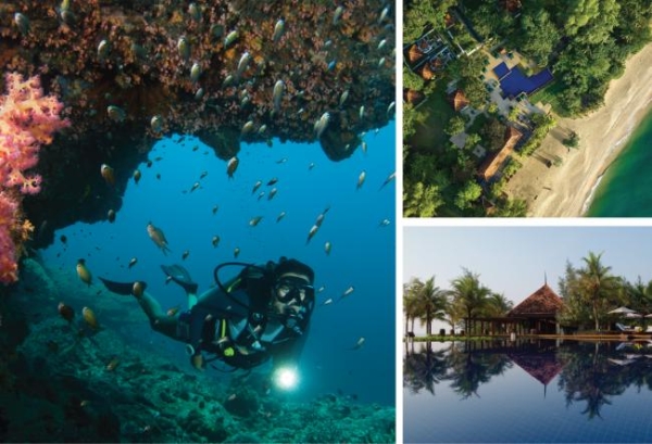 探索天鹅岛深处，在月之影度假村守护海龟