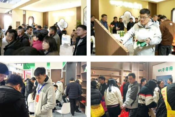 三大展馆+美学升级！千年舟惊艳亮相北方整装定制博览会！ 