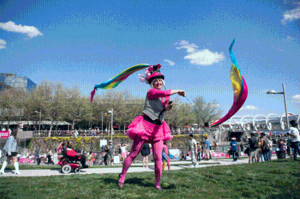 华盛顿特区即将迎来一年一度的美国国家樱花节 