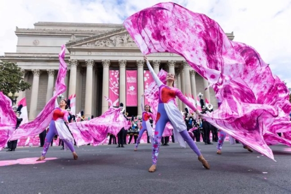 华盛顿特区即将迎来一年一度的美国国家樱花节 