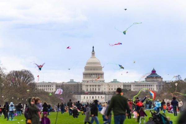 华盛顿特区即将迎来一年一度的美国国家樱花节 