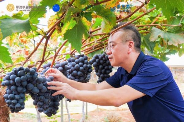 坚守品质初心，Olé多维度升级消费体验 