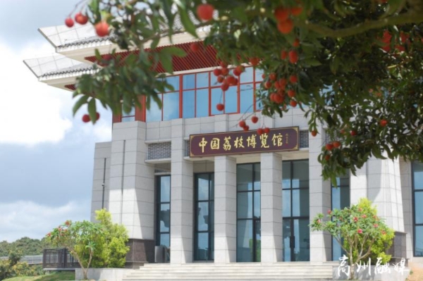 当一个年轻人决定回到荔乡，与1500年前的“偶像”成为合伙人 