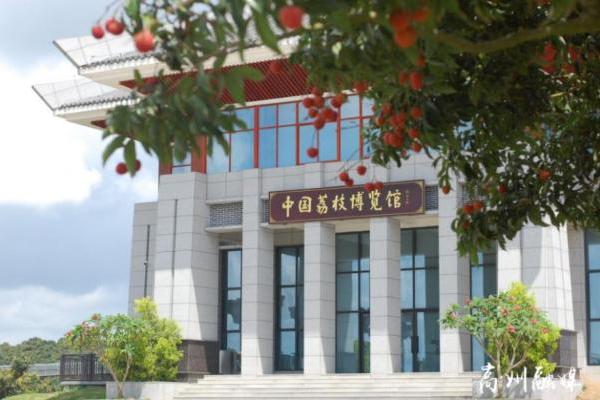 当一个年轻人决定回到荔乡，与1500年前的“偶像”成为合伙人 