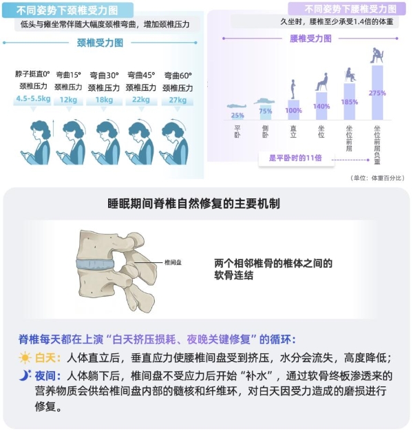 2026国民脊椎健康全景扫描：如何用科学睡眠重构身心修复力？ 