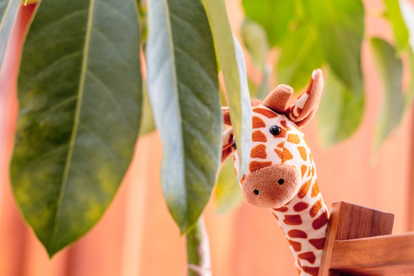 挖到宝了，捉到口袋里记录生活的小精灵！ 