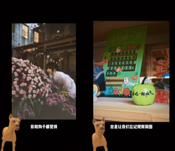 下楼走走，捡了一兜颜色回家 