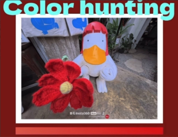 下楼走走，捡了一兜颜色回家 