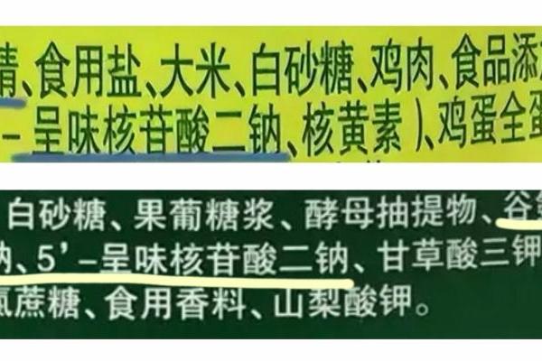 首张“钠摄入地图”发布：全国钠摄入普遍超标！松鲜鲜用创新调味，帮你跳出“钠陷阱” 