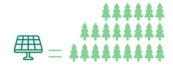 振森能源：“植”此青绿，绘就能碳脉络！ 