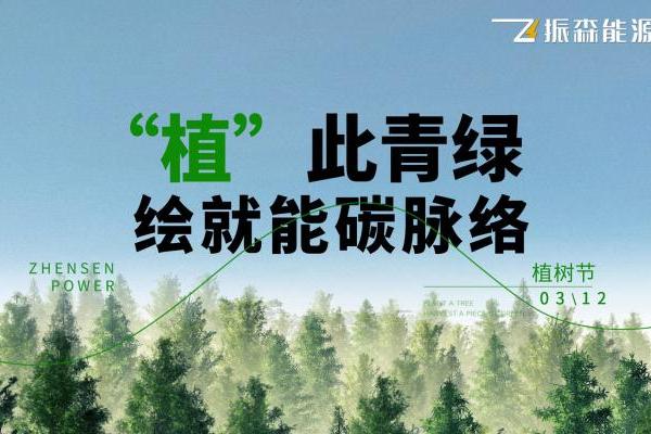 振森能源：“植”此青绿，绘就能碳脉络！ 
