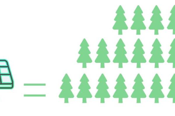 振森能源：“植”此青绿，绘就能碳脉络！ 