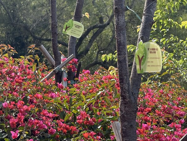 鹭岛春日添新绿 ----厦门太古可口可乐山海步道延续 "在乎" 