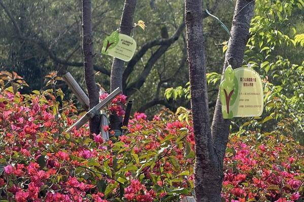 鹭岛春日添新绿 ----厦门太古可口可乐山海步道延续 "在乎" 