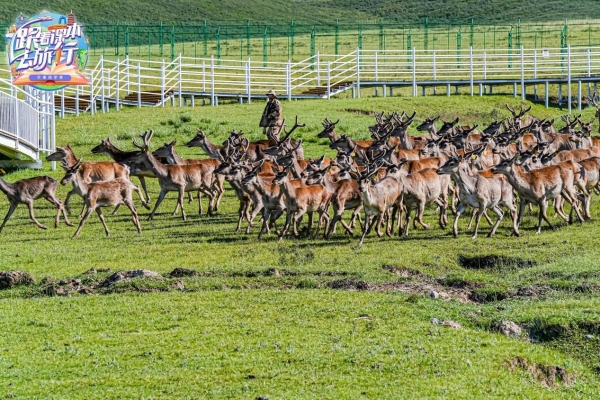 《跟着课本去旅行》肃南站定档周六14:00 