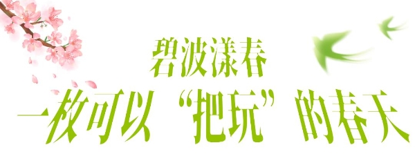 以奔跑致敬生态，2026新希望白帝合肥半程马拉松圆满收官！ 