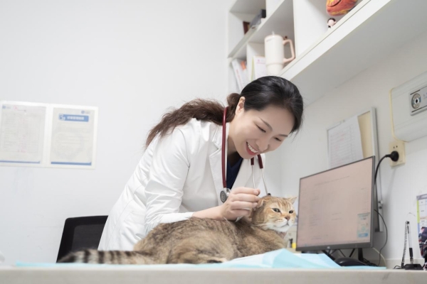 春季猫狗病例上涨背后的隐忧：新瑞鹏推主题活动引导科学预防 