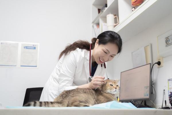 春季猫狗病例上涨背后的隐忧：新瑞鹏推主题活动引导科学预防 
