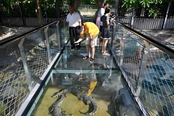 海南东方鳄珍鳄鱼园获评国家 3A 级旅游景区 