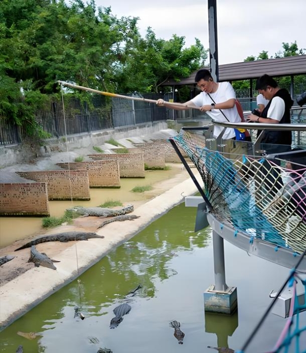 海南东方鳄珍鳄鱼园获评国家 3A 级旅游景区 
