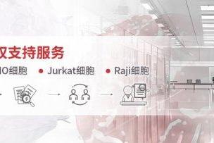 以合规筑根基，以权益护发展：ACROBiosystems百普赛斯发布HEK293细胞株授权说明，厘清全球授权服务与知识产权边界 