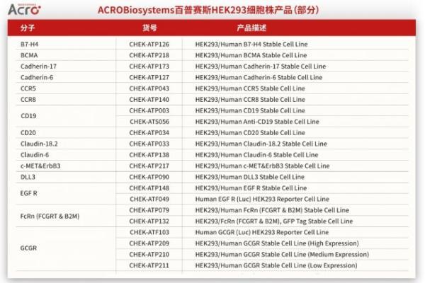 以合规筑根基，以权益护发展：ACROBiosystems百普赛斯发布HEK293细胞株授权说明，厘清全球授权服务与知识产权边界 