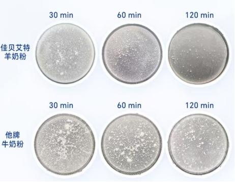 宝宝总生病？爸妈别焦虑，一文看懂提高免疫力的奶粉哪个牌子好 