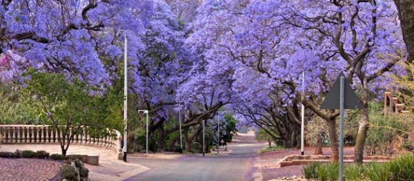 南非旅游局携手MSC地中海邮轮 推介 2027南非过大年新年邮轮游 