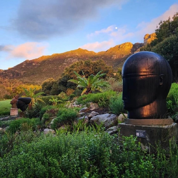 南非旅游局携手MSC地中海邮轮 推介 2027南非过大年新年邮轮游 