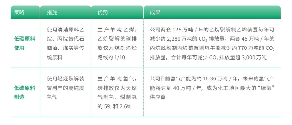 官方定调“十五五”低碳经济 卫星化学以创新技术筑就低碳转型标杆 