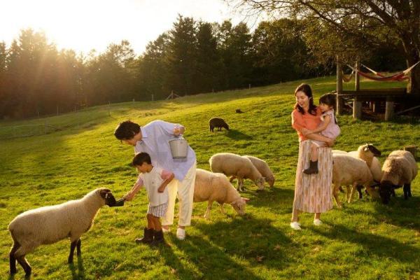 星野集团RISONARE：搭建自然中的亲子乐园 