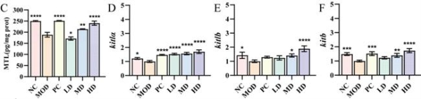 华大益生菌 BGI-N2：肠道“助推器”开启便秘舒缓新征程 