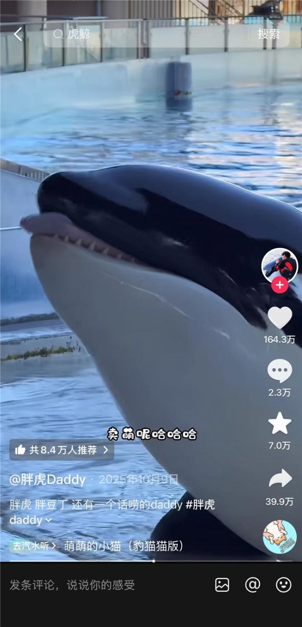 2026，该如何用抖音赚到钱？ 