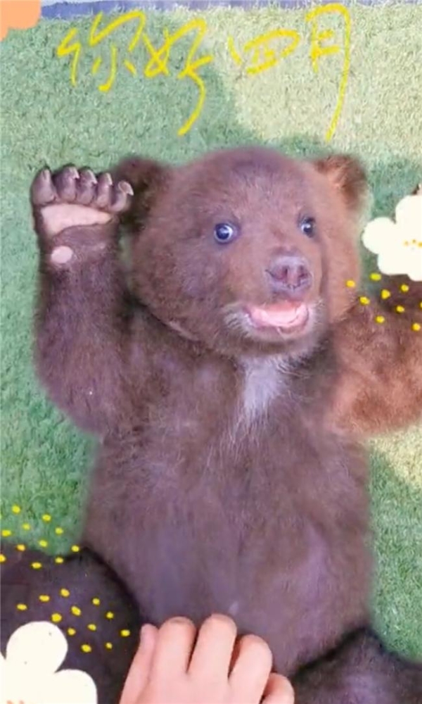 2026，该如何用抖音赚到钱？ 