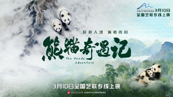 纪实电影《熊猫奇遇记》暖心定档，3月10日解锁国宝全生命周期密码 