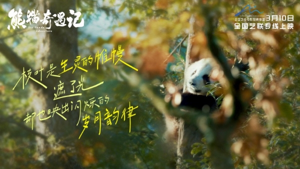 纪实电影《熊猫奇遇记》暖心定档，3月10日解锁国宝全生命周期密码 