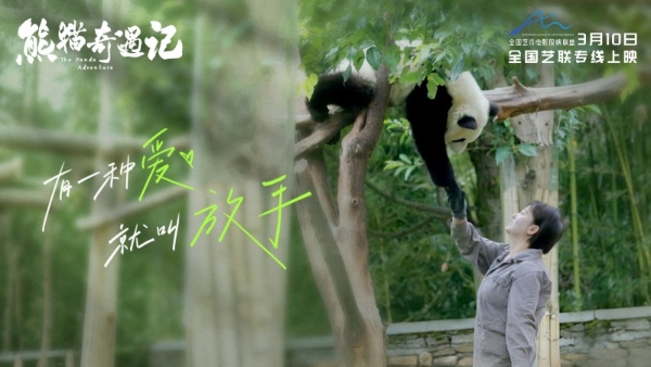 纪实电影《熊猫奇遇记》暖心定档，3月10日解锁国宝全生命周期密码 