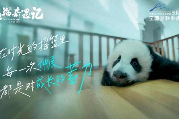 纪实电影《熊猫奇遇记》暖心定档，3月10日解锁国宝全生命周期密码 