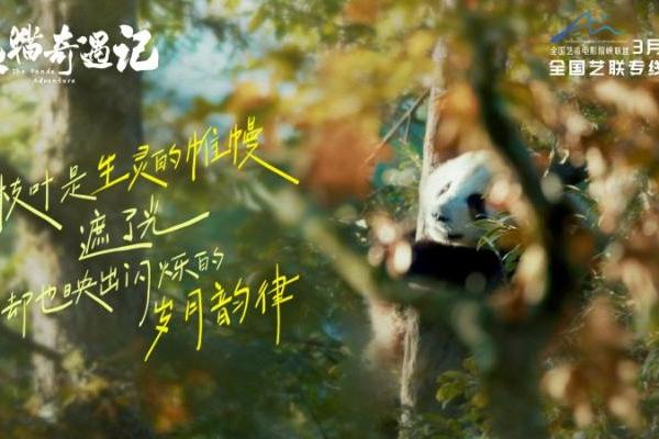 纪实电影《熊猫奇遇记》暖心定档，3月10日解锁国宝全生命周期密码 